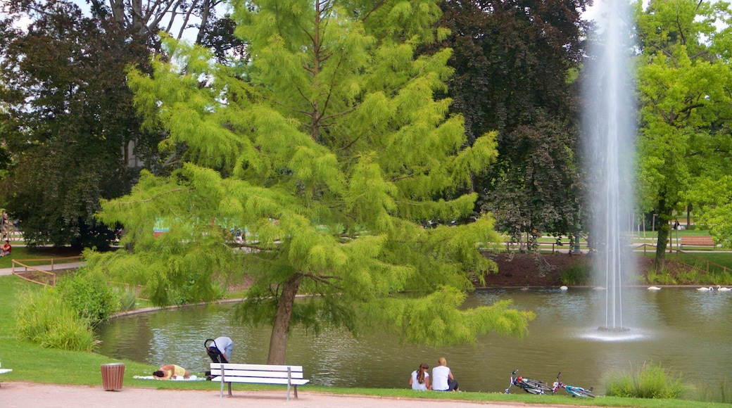 Jardines de L\'Orangerie que incluye una fuente y un jardín