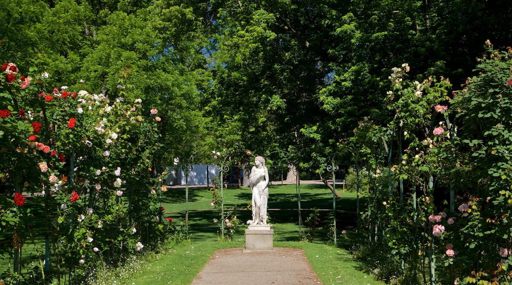 Jardin des Plantes which includes a park, flowers and wildflowers