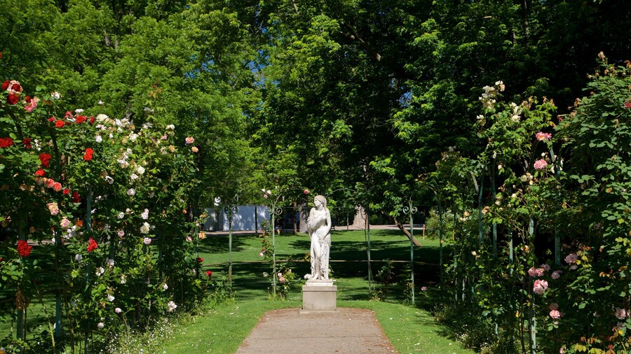 Jardin des Plantes ofreciendo flores silvestres, un jardín y flores