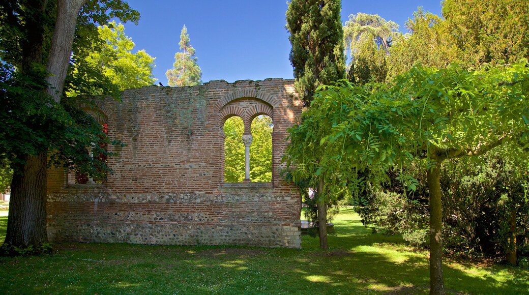 Jardin des Plantes qui includes patrimoine historique et jardin