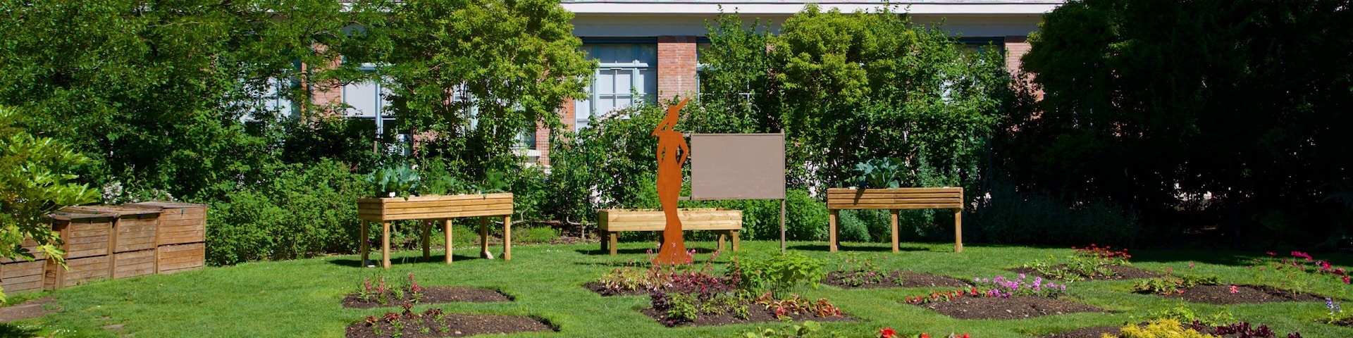 Jardin des Plantes showing a park and flowers
