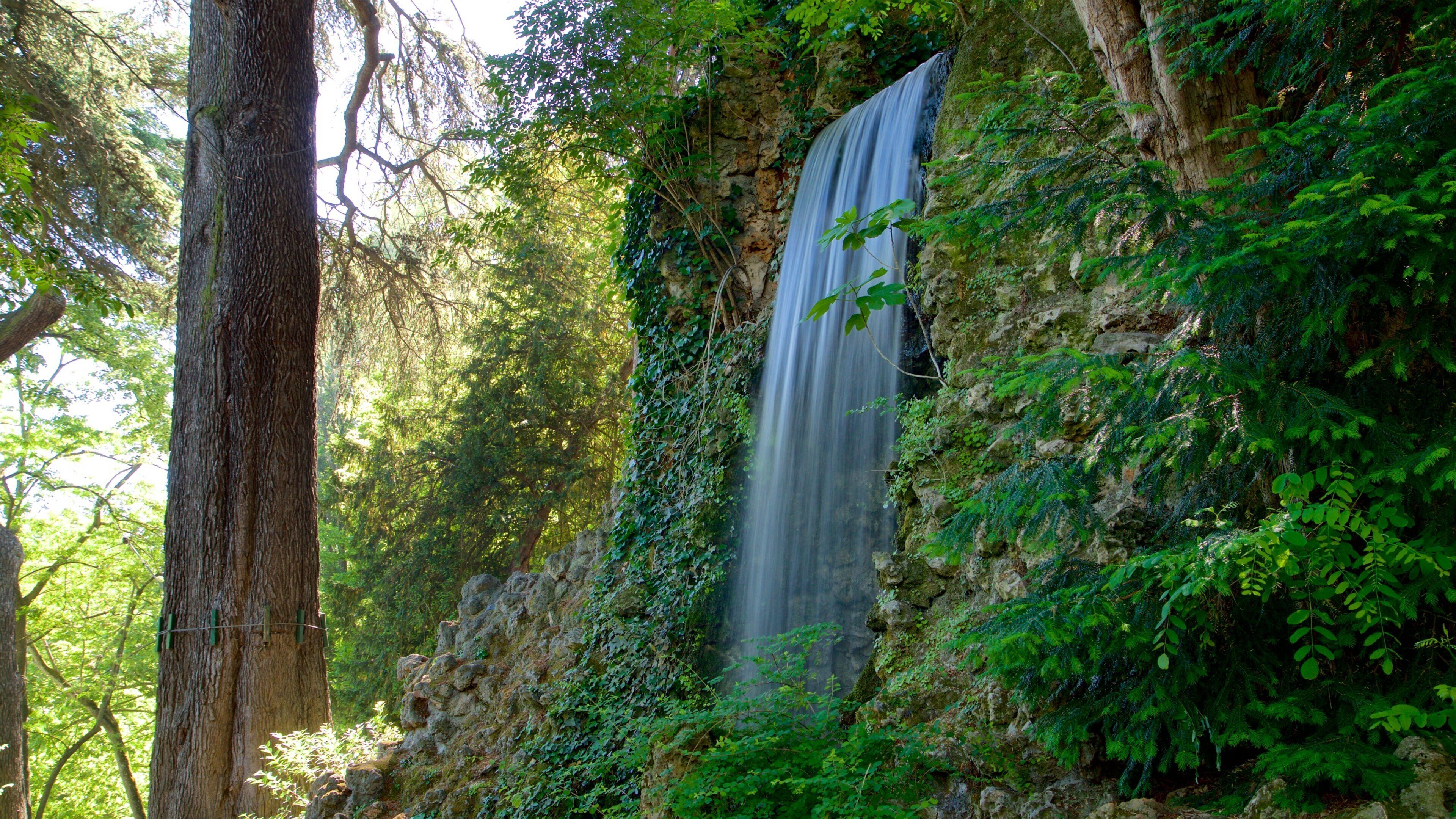 Jardin des Plantes featuring a waterfall