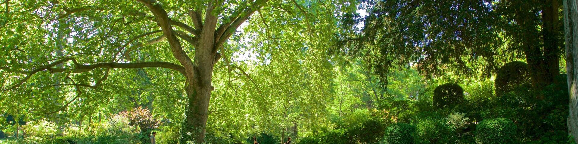 Jardin des Plantes featuring a garden and a river or creek