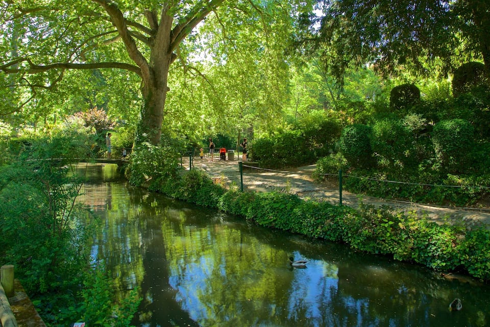 Ein friedlicher Park mit einem ruhigen Fluss, üppigem Grün und einer Holzbrücke.