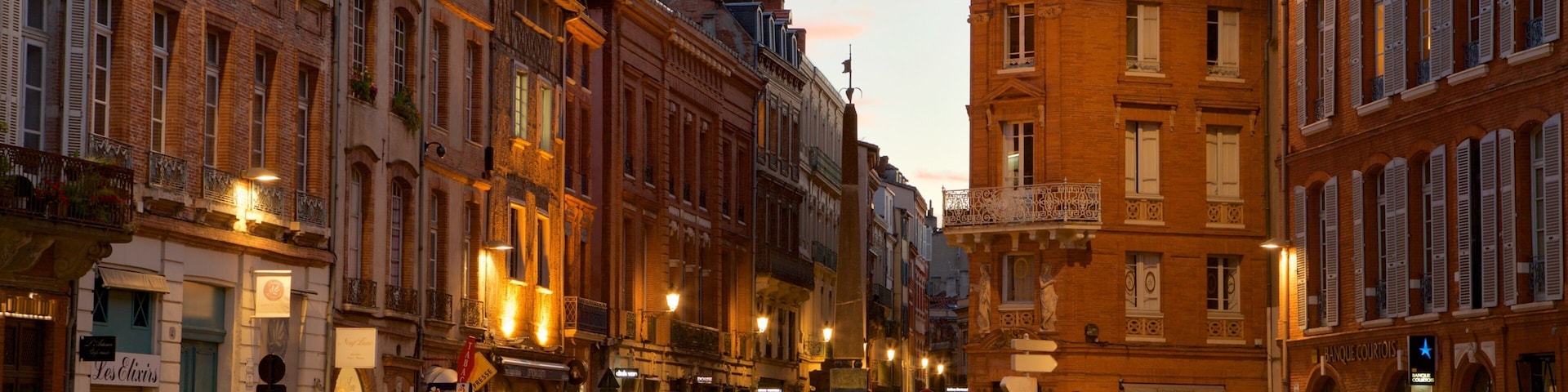 Saint Etienne Cathedrale showing a sunset, a fountain and a city