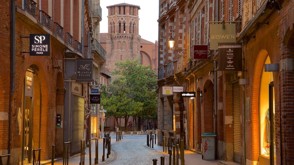 Museum of the Augustins showing heritage architecture and a city