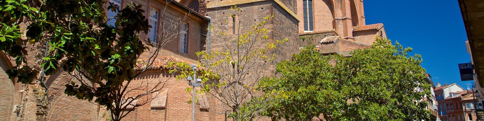 Museum of the Augustins showing heritage architecture