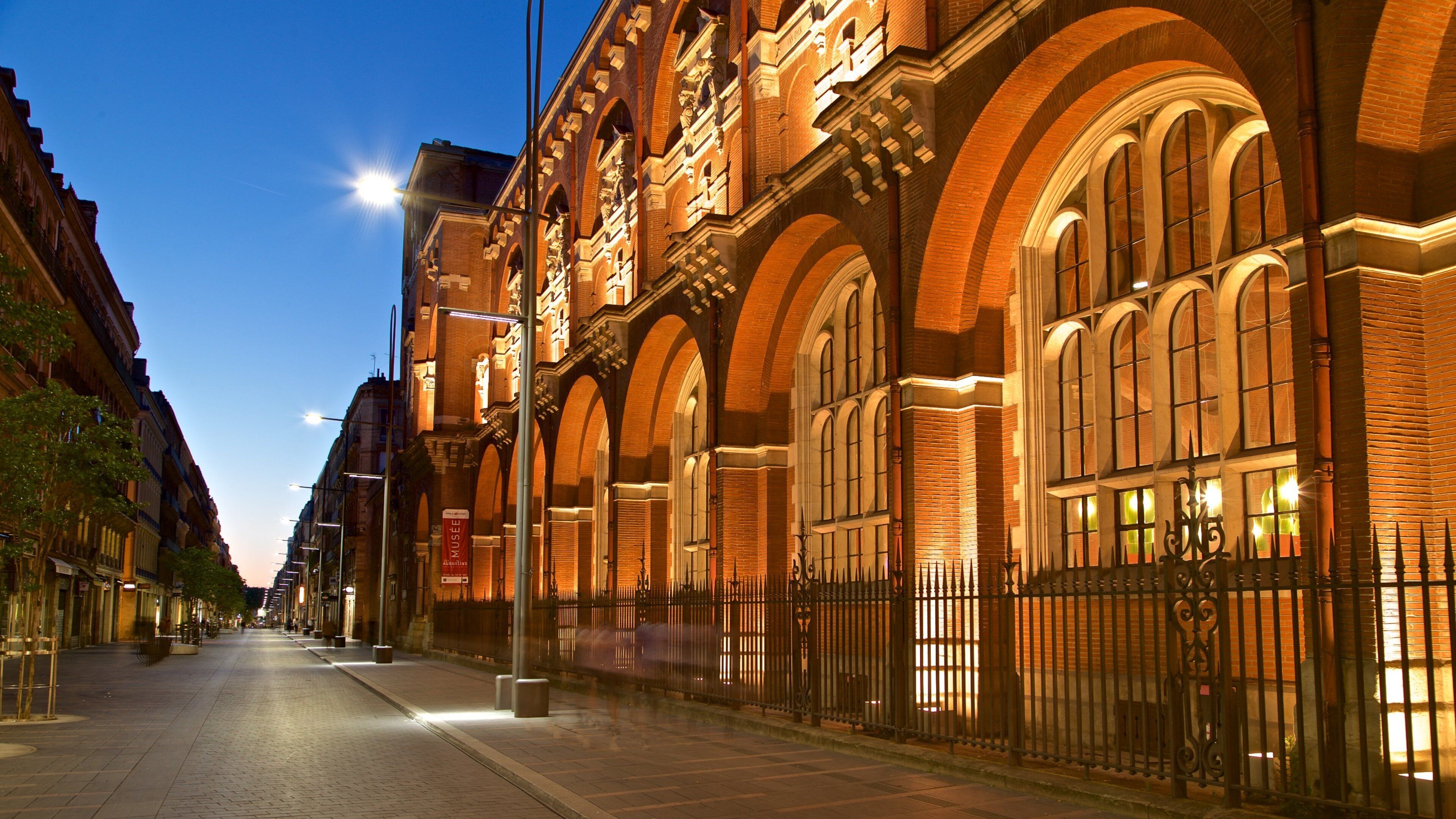 Musée des Augustins che include architettura d\'epoca, paesaggio notturno e città