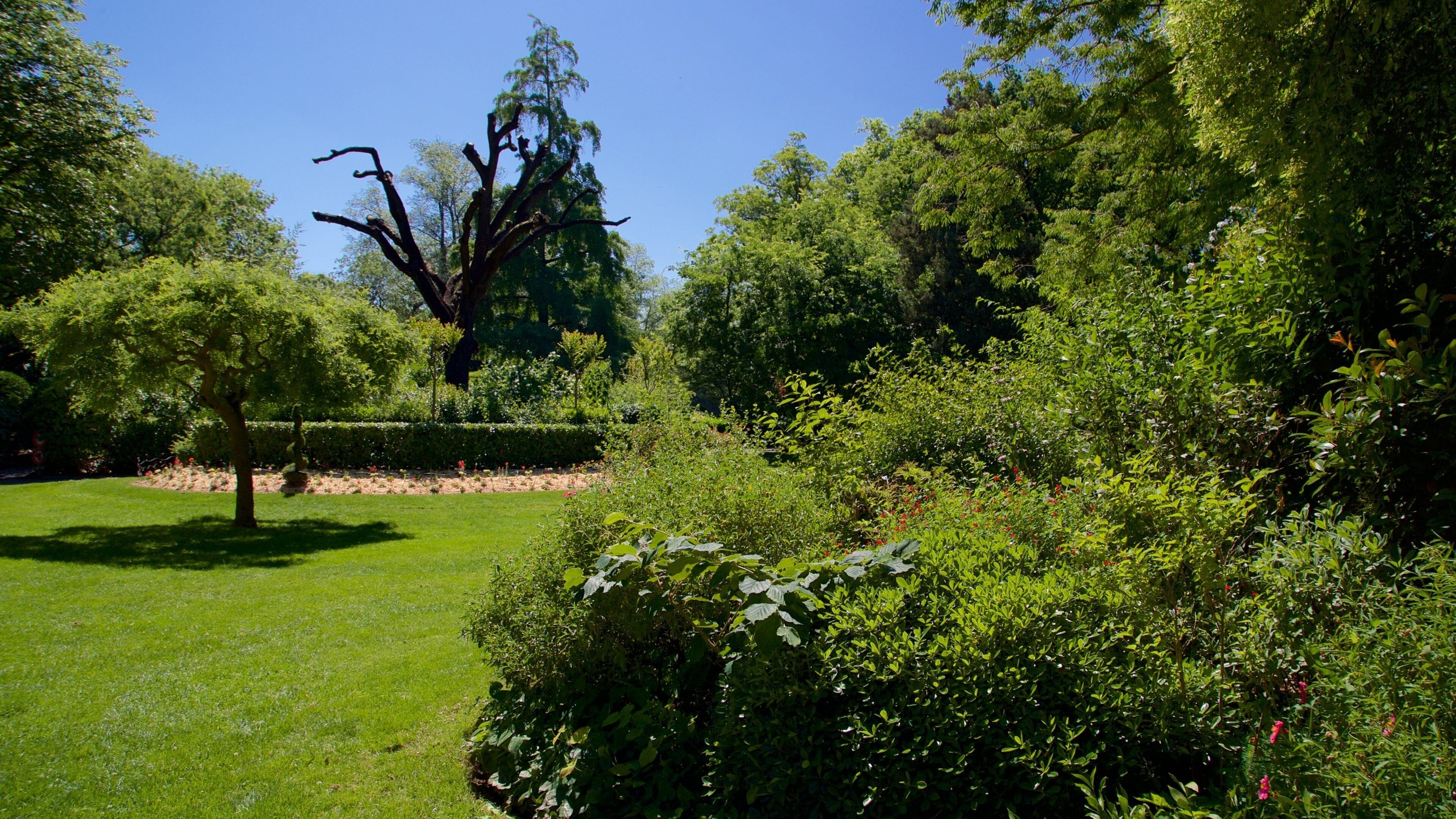 Jardin Royal que incluye un jardín