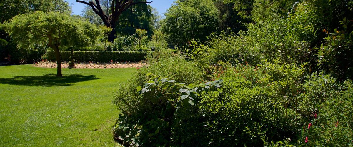 Jardin Royal featuring a garden