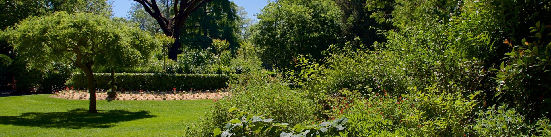 Jardin Royal mostrando um jardim