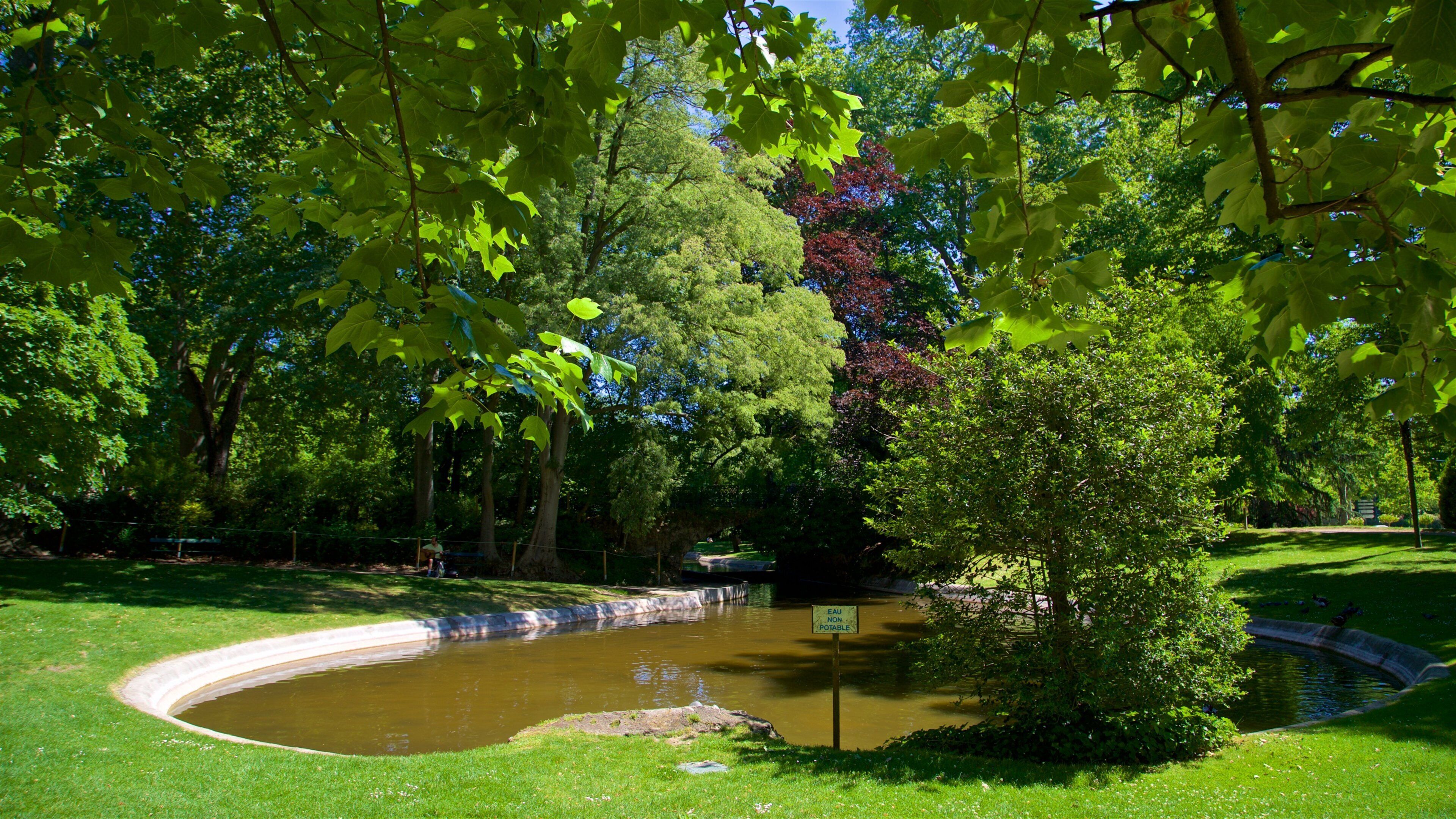 Jardin Royal which includes a pond and a garden