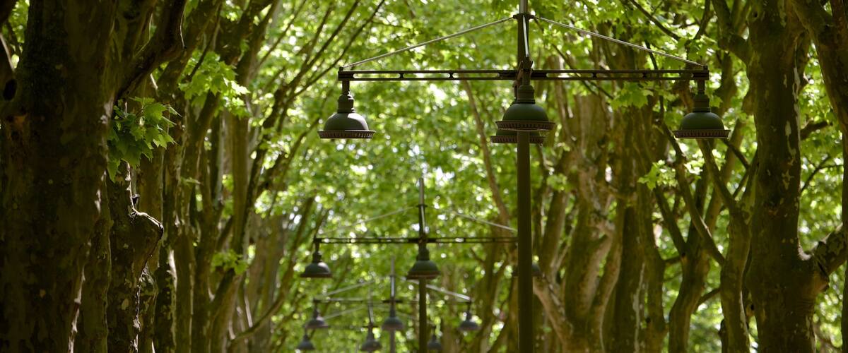 Place des Quinconces mostrando un parque