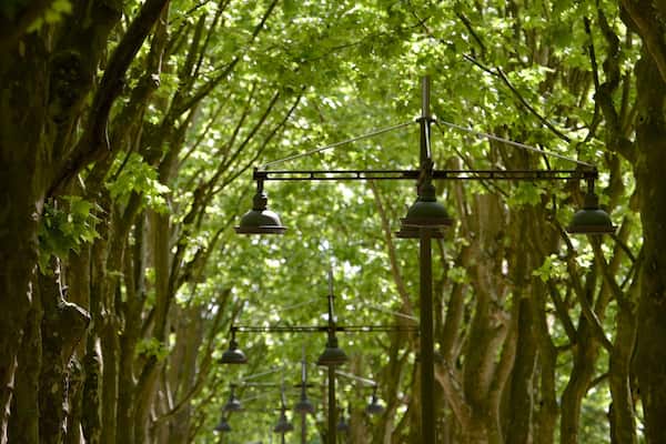Place des Quinconces featuring a garden