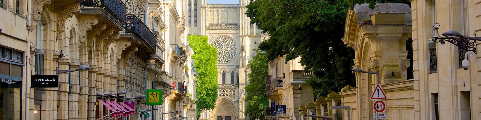 Cathédrale Saint-André montrant patrimoine architectural