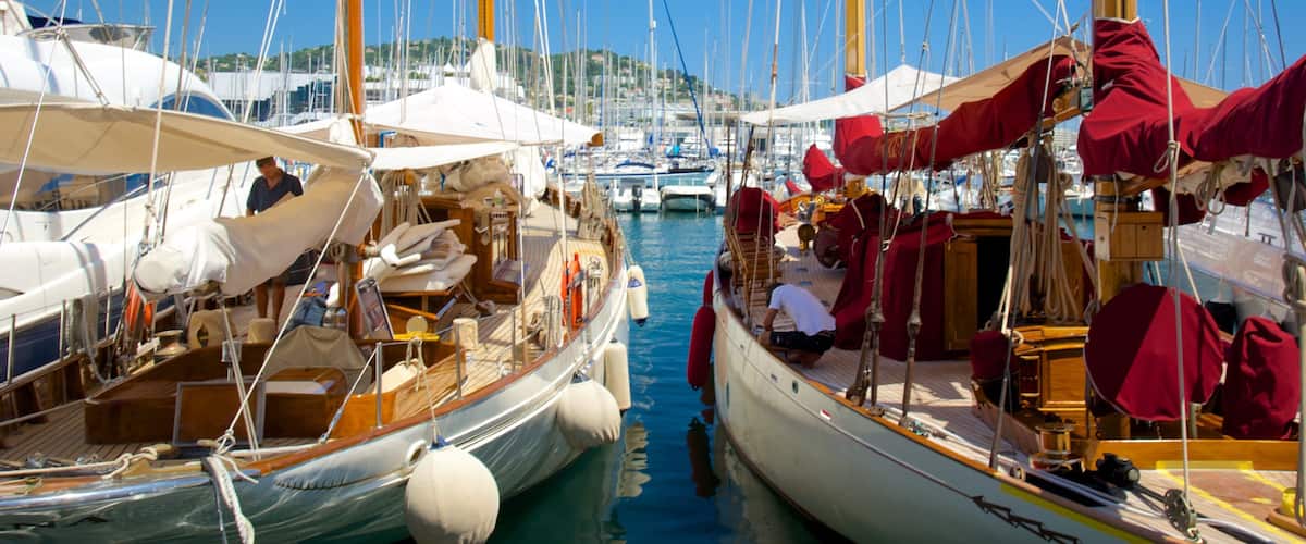 Puerto de Cannes mostrando una marina