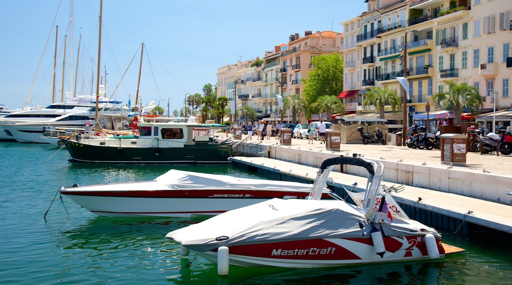 Cannes Harbour which includes a bay or harbor and a marina