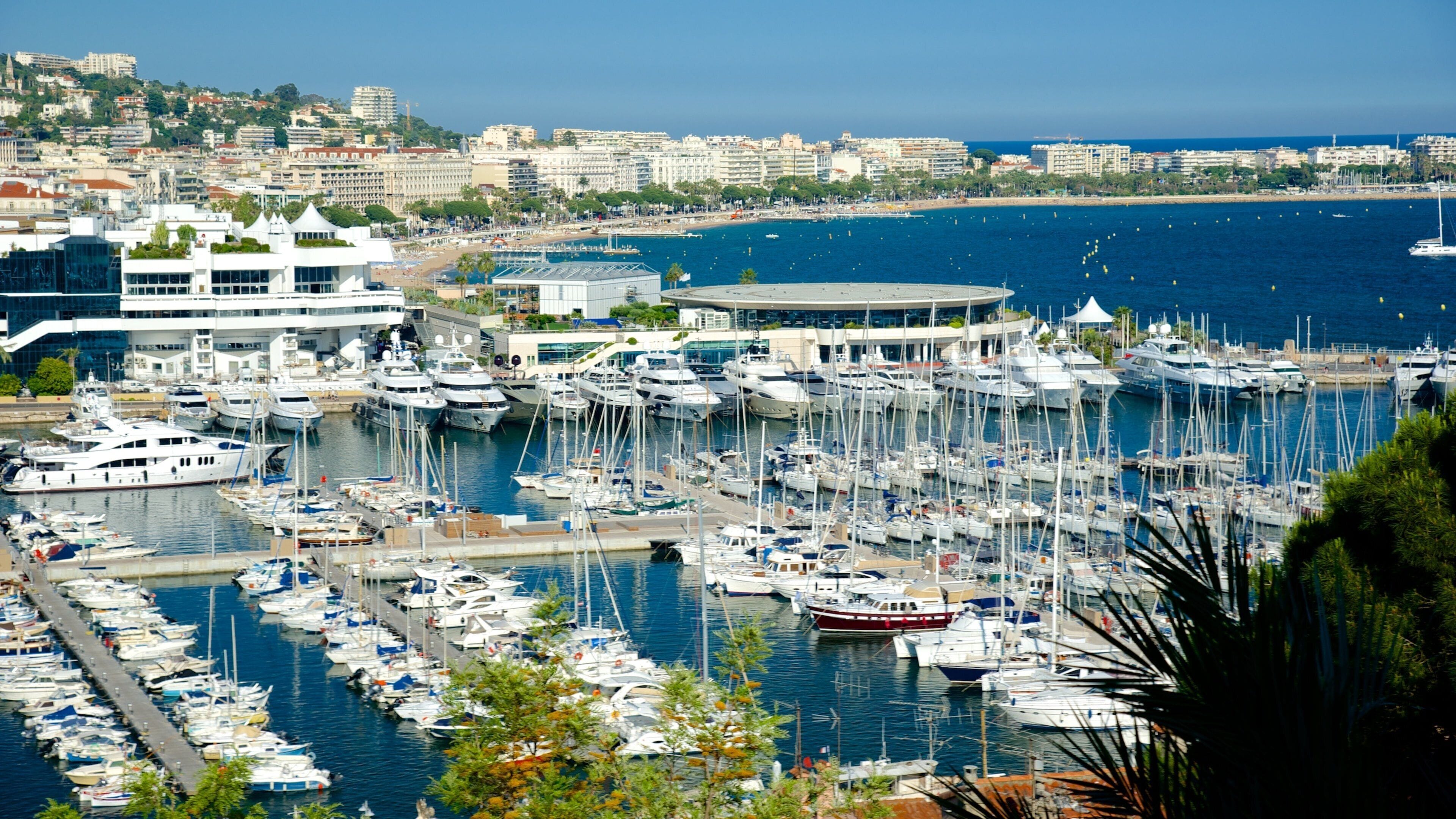 Cannes Harbour que inclui uma cidade litorânea e uma marina