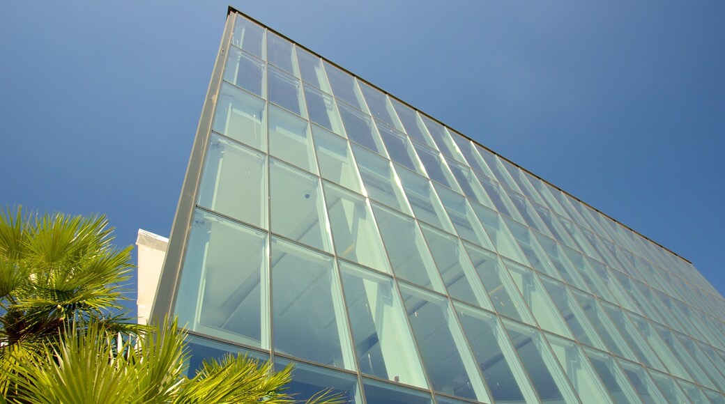 節慶宮與議會廳 设有 現代建築