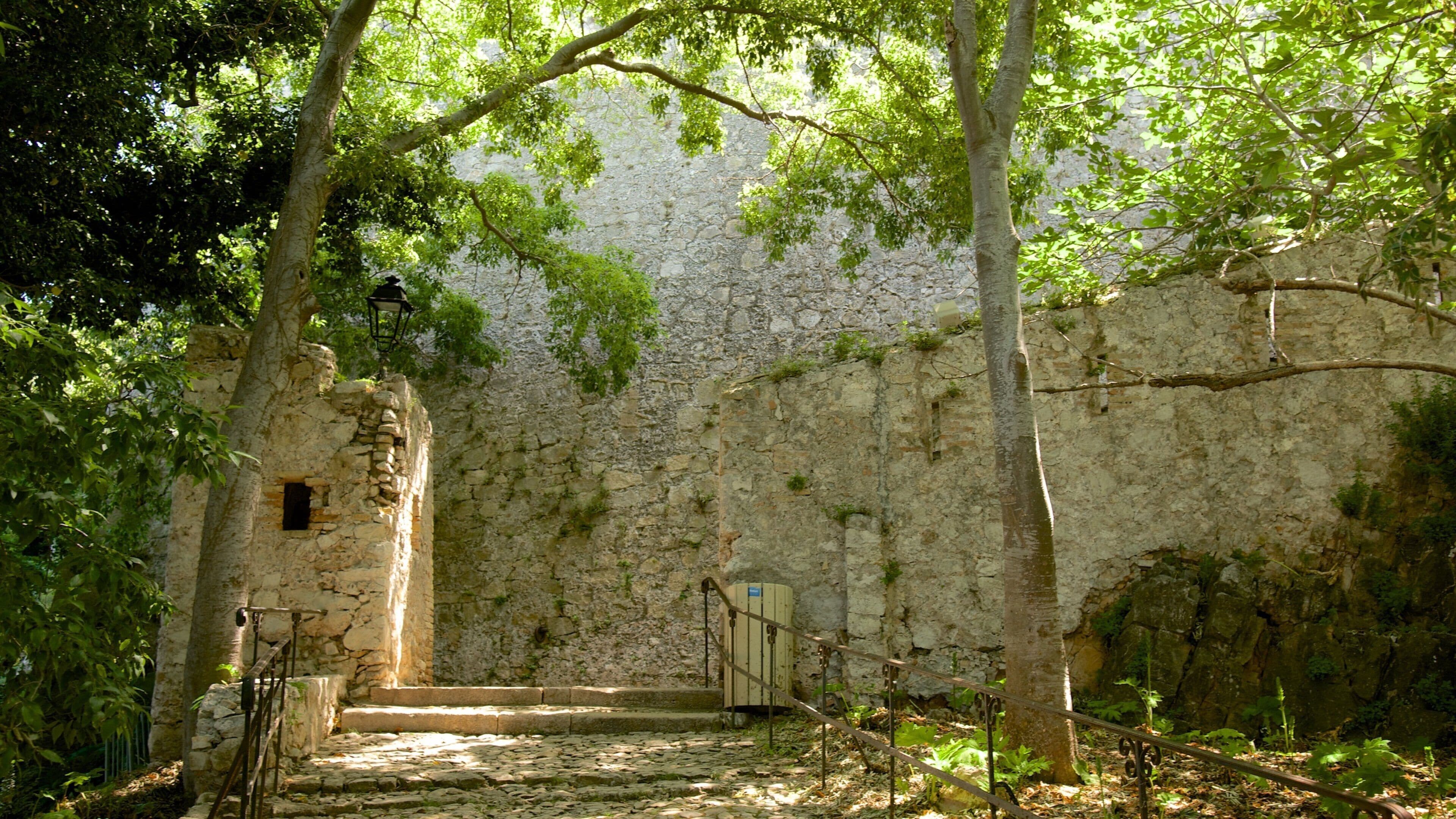 Fort Royal showing heritage architecture