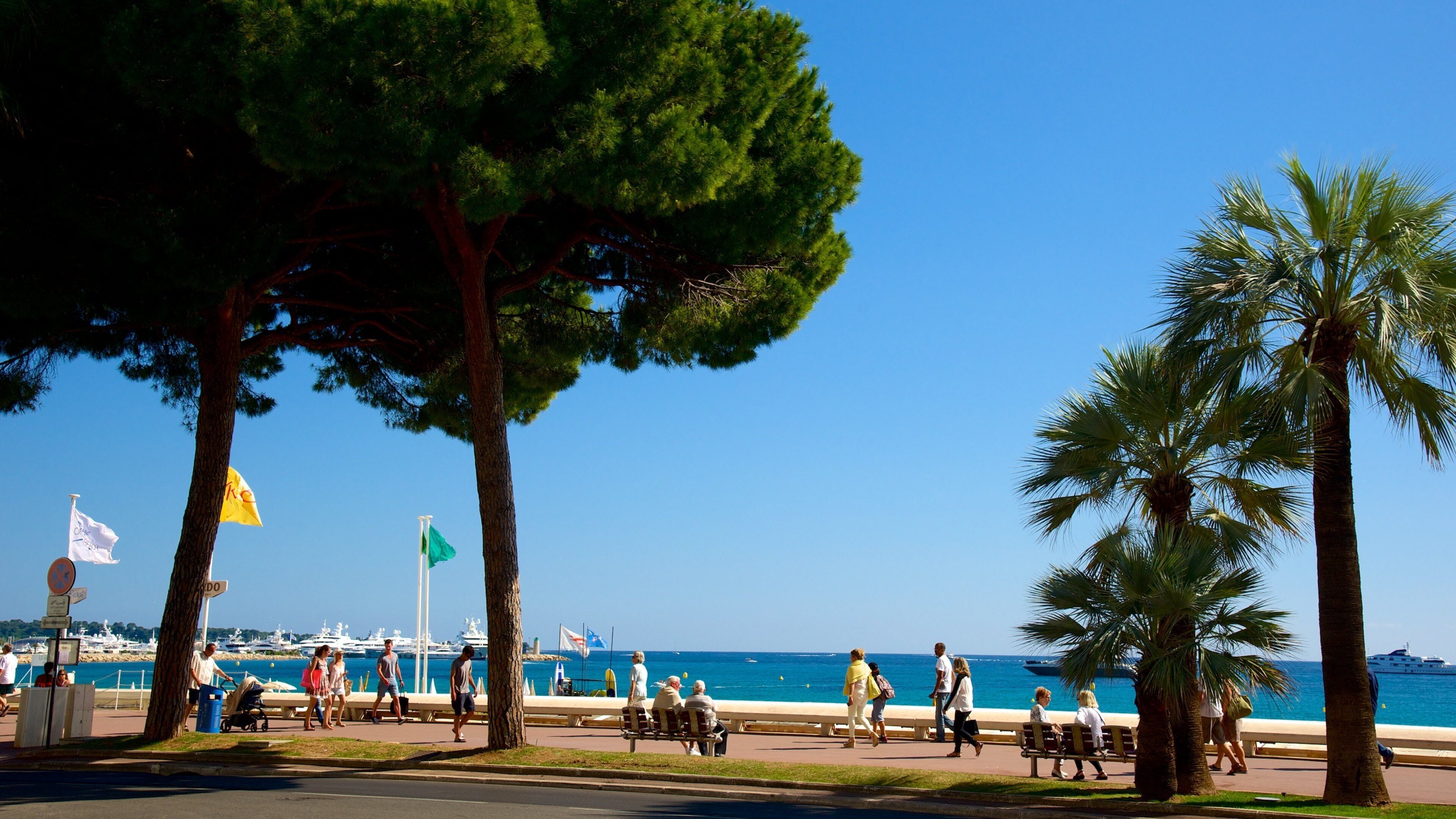 La Croisette featuring a bay or harbor