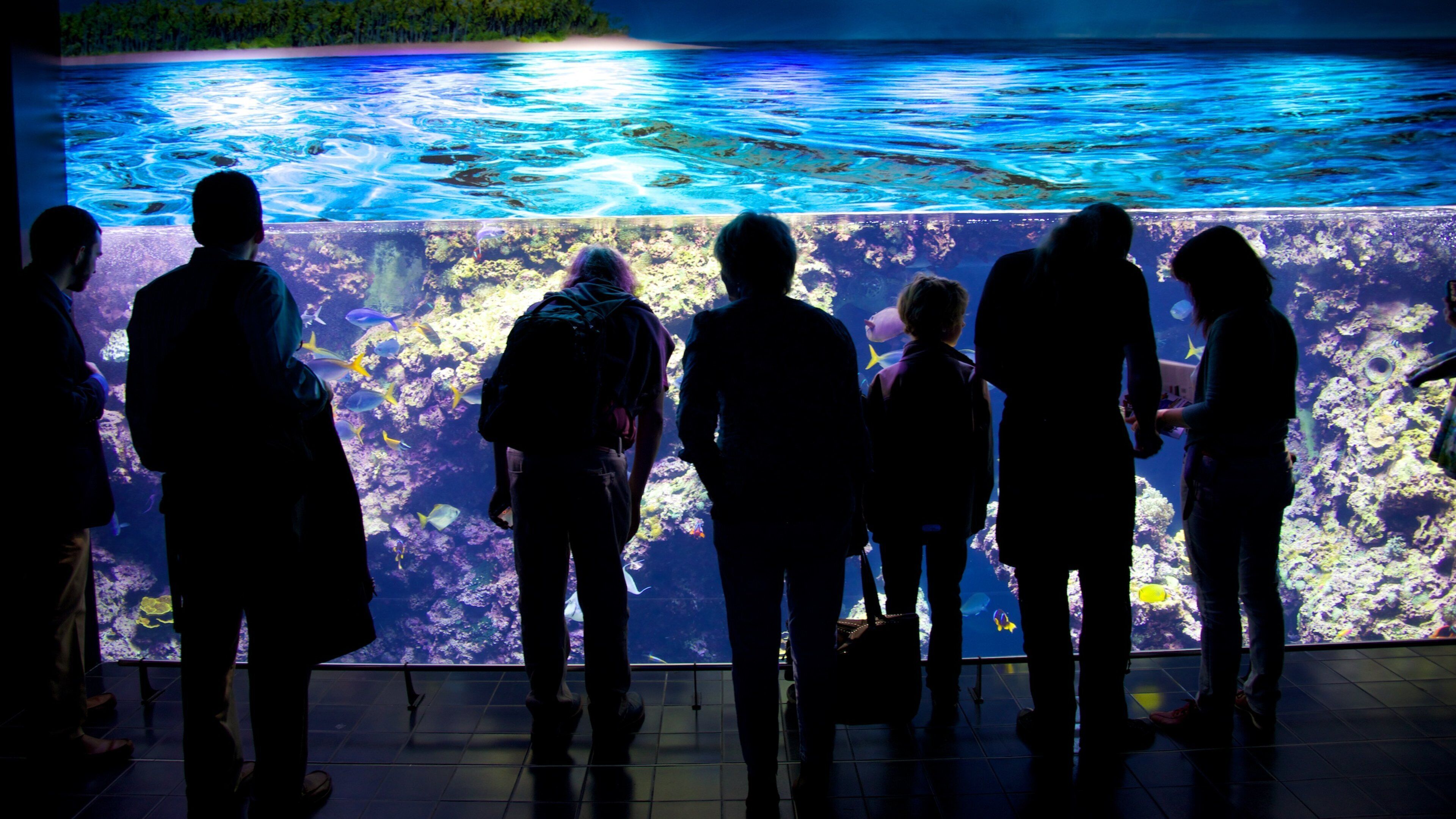 Oceanographic Museum featuring marine life as well as a small group of people