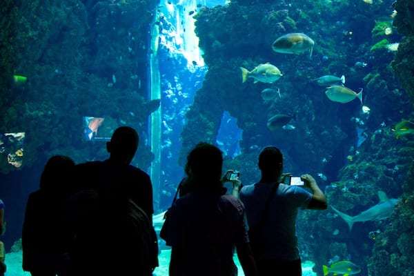 Oceanographic Museum featuring marine life as well as a small group of people