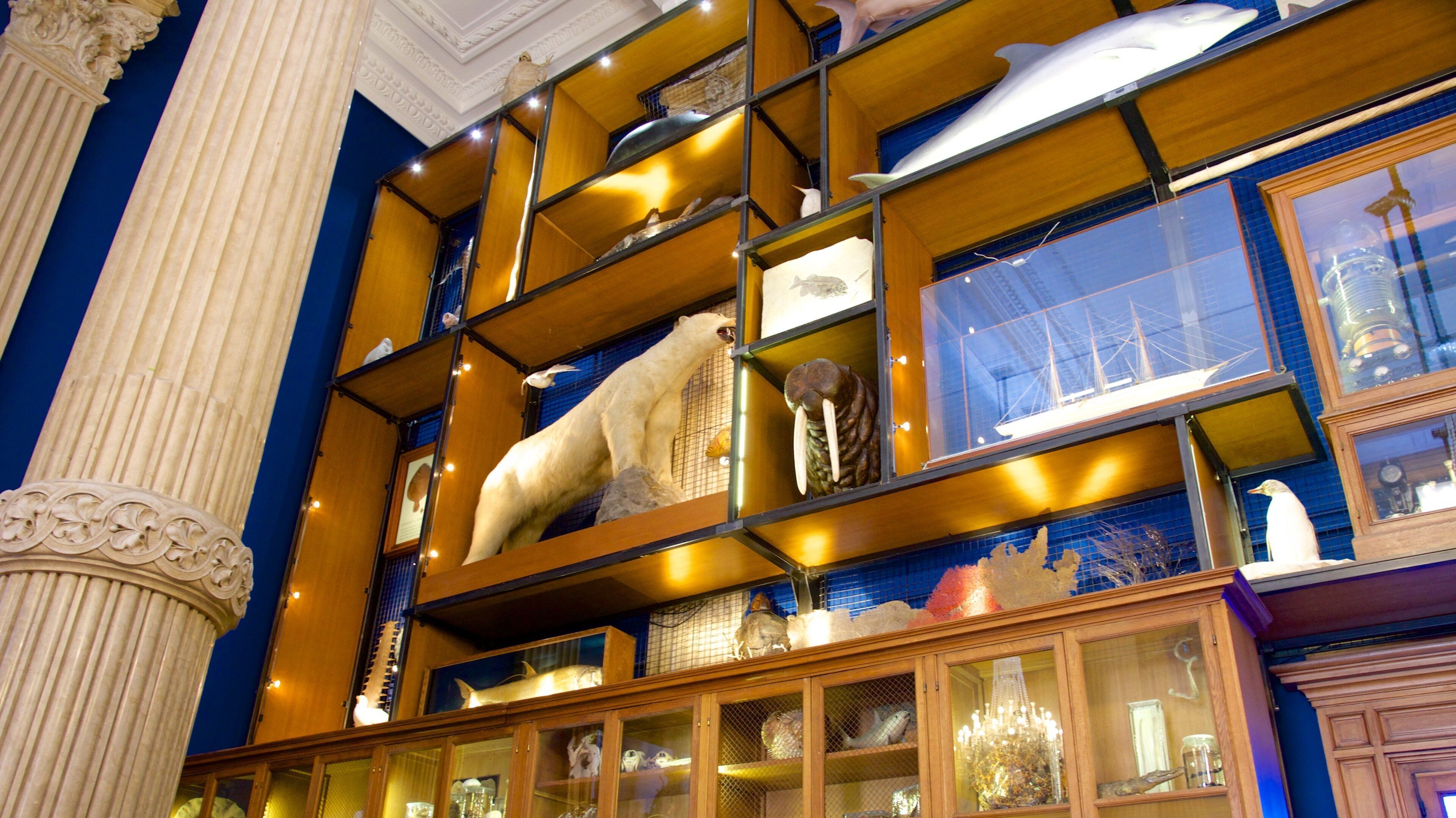 Oceanographic Museum which includes interior views