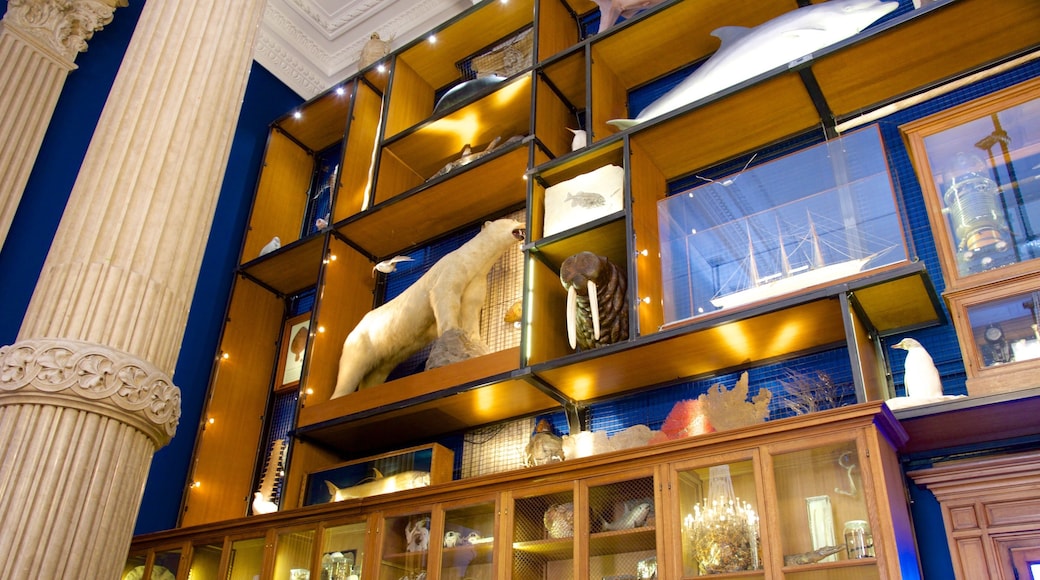 Oceanographic Museum which includes interior views