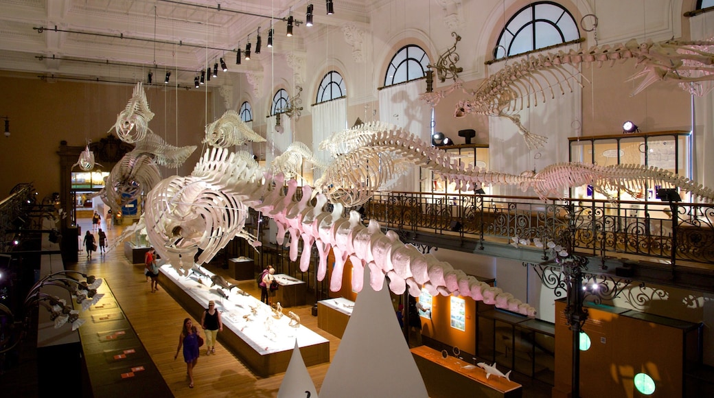 Oceanographic Museum which includes interior views