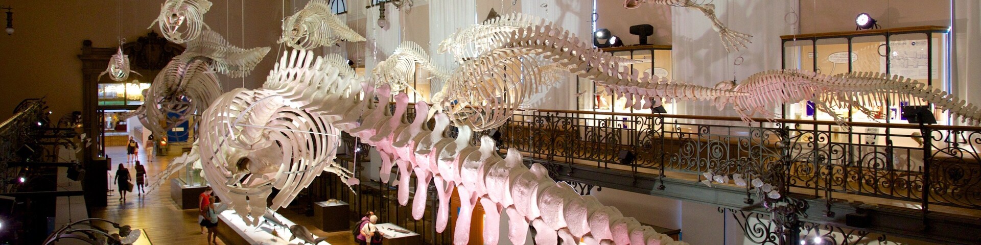 Oceanographic Museum which includes interior views