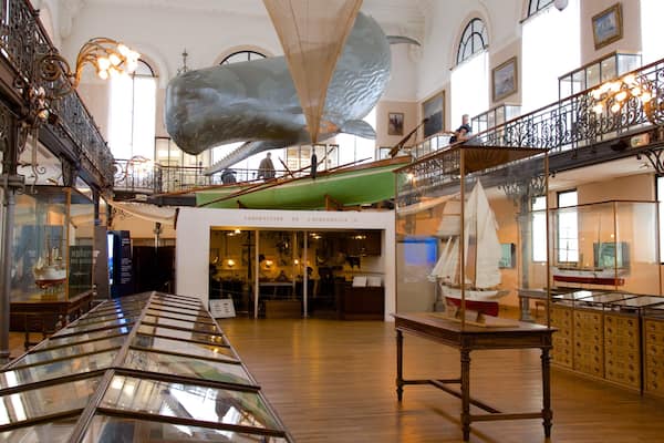 Oceanographic Museum featuring interior views