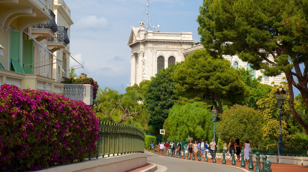 Oceanographic Museum featuring street scenes and a garden