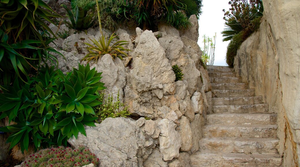 Exotic Garden showing heritage elements