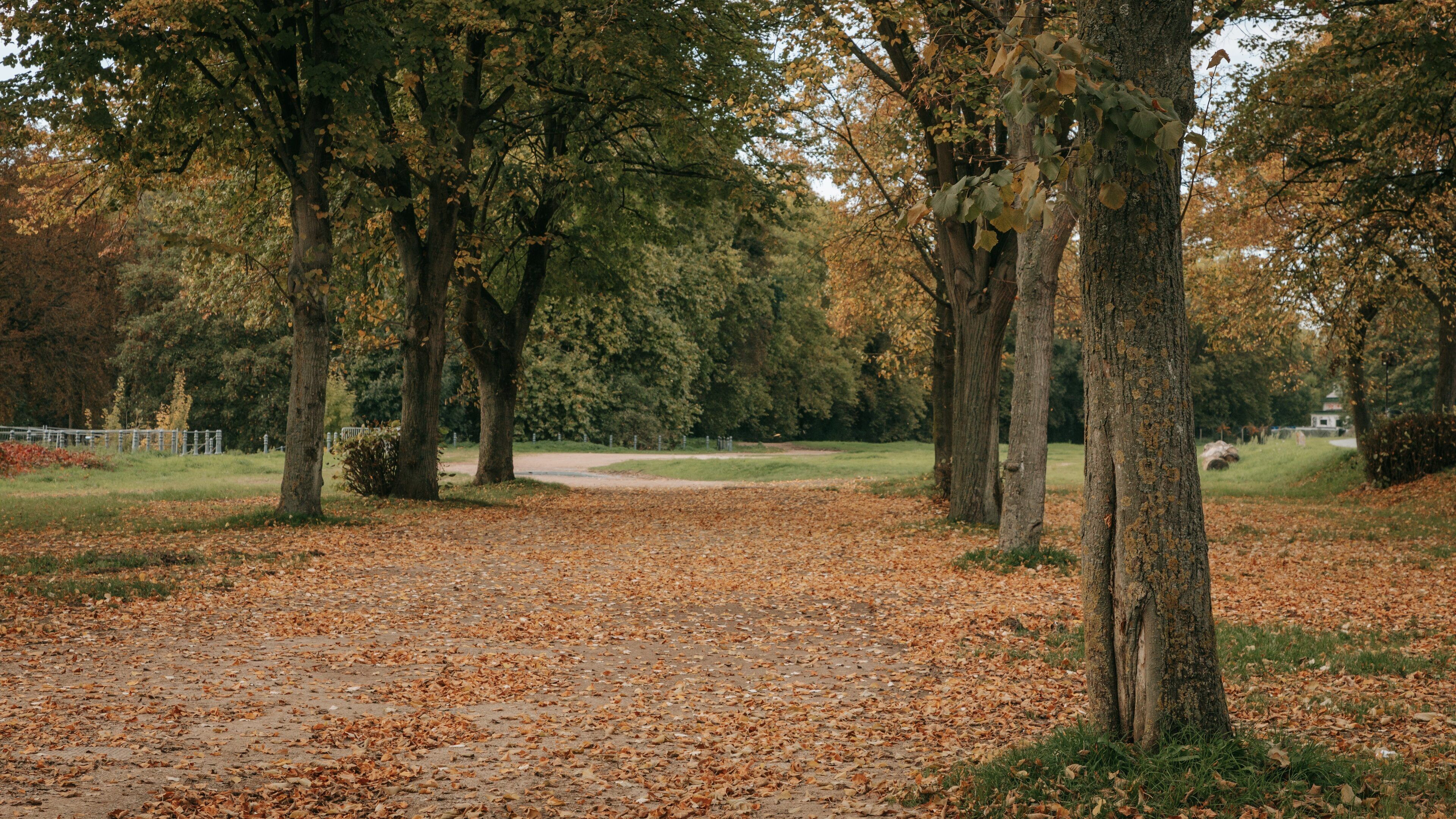Citadel of Lille showing a garden and autumn leaves