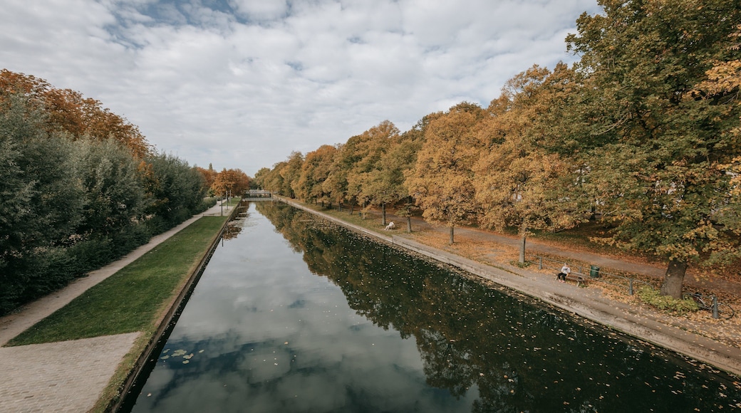 Citadel of Lille showing autumn leaves, a river or creek and a garden