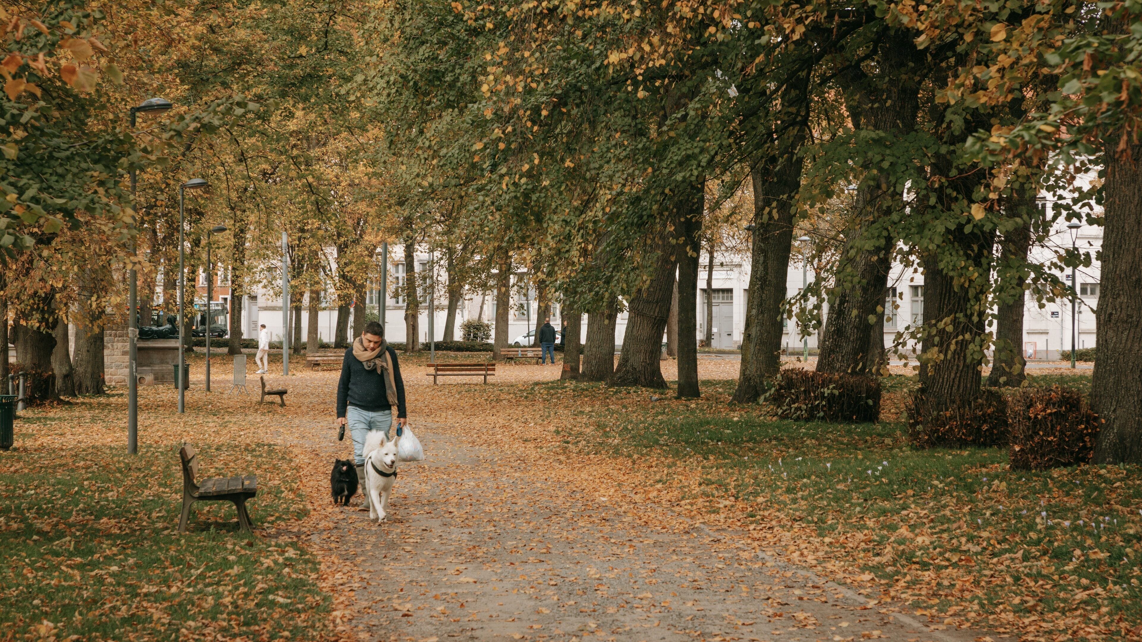 Citadel of Lille featuring a garden and fall colors as well as an individual femail