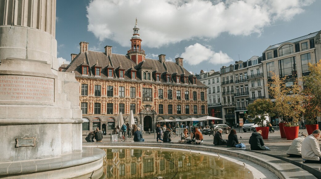 Lille Grand Square featuring a city, heritage architecture and a square or plaza