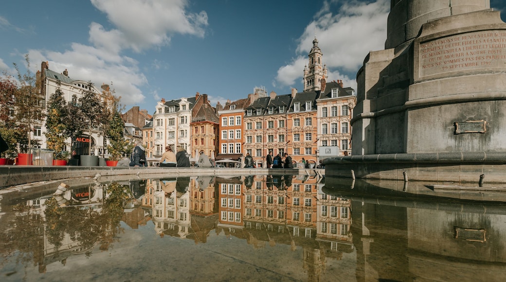 Lille Grand Square featuring a city, a fountain and heritage architecture