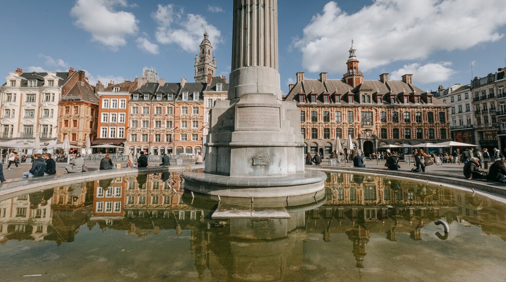 Lille Grand Square showing a fountain, a city and heritage architecture