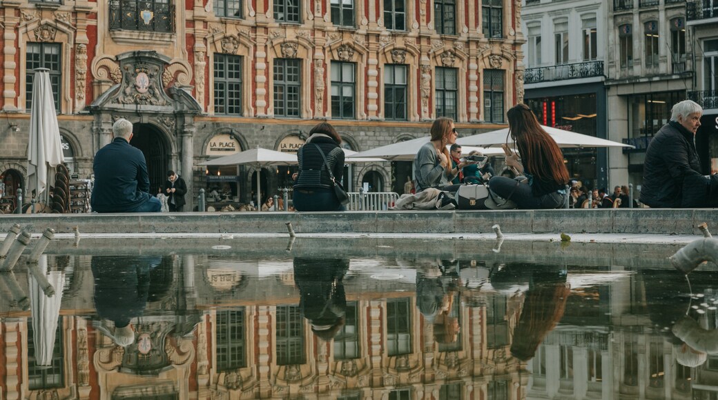 Lille Grand Square featuring a fountain and street scenes as well as a small group of people