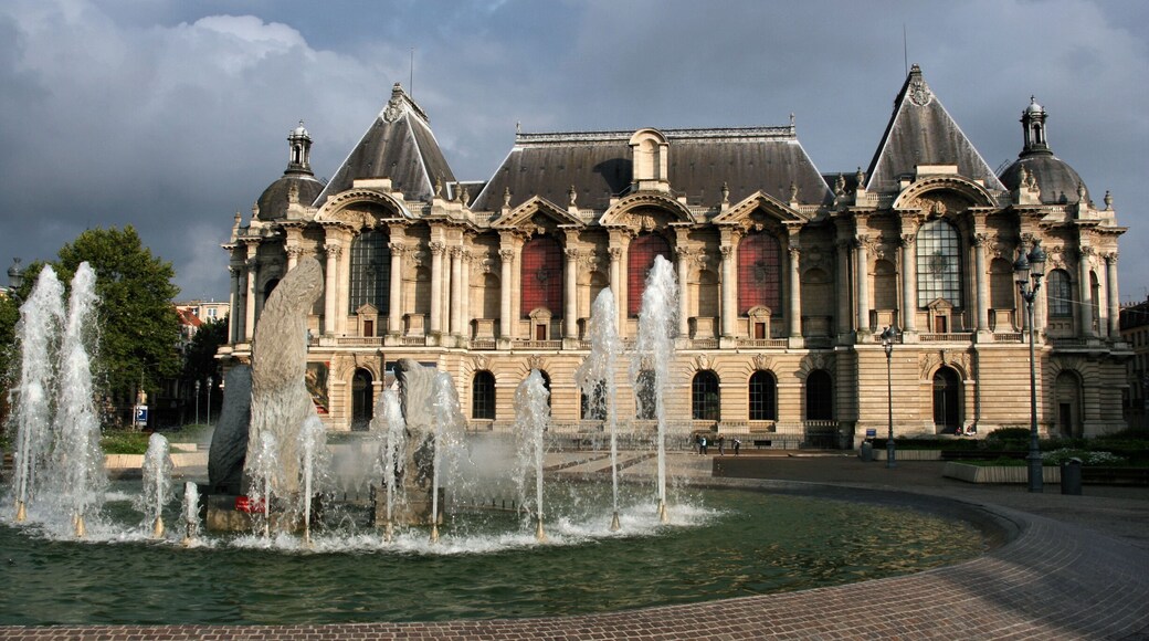 Musee des Beaux-Arts