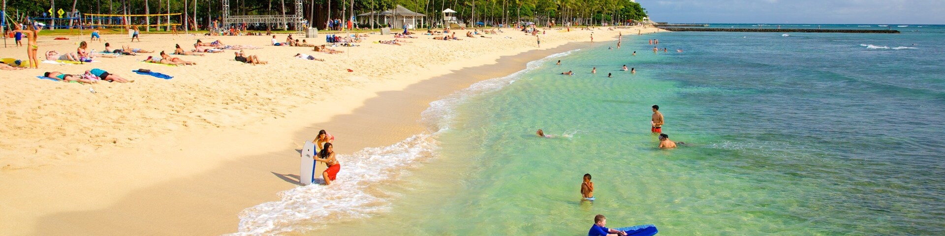 Queen Kapiʻolani Regional Park showing tropical scenes, landscape views and a beach