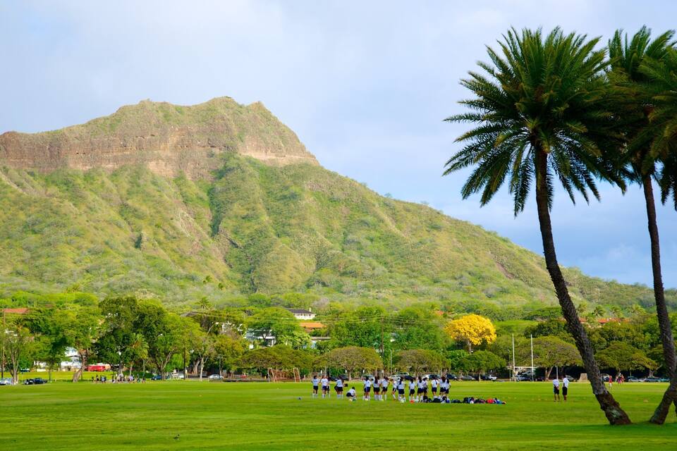 A grassy field with palm trees and a mountain in the background.