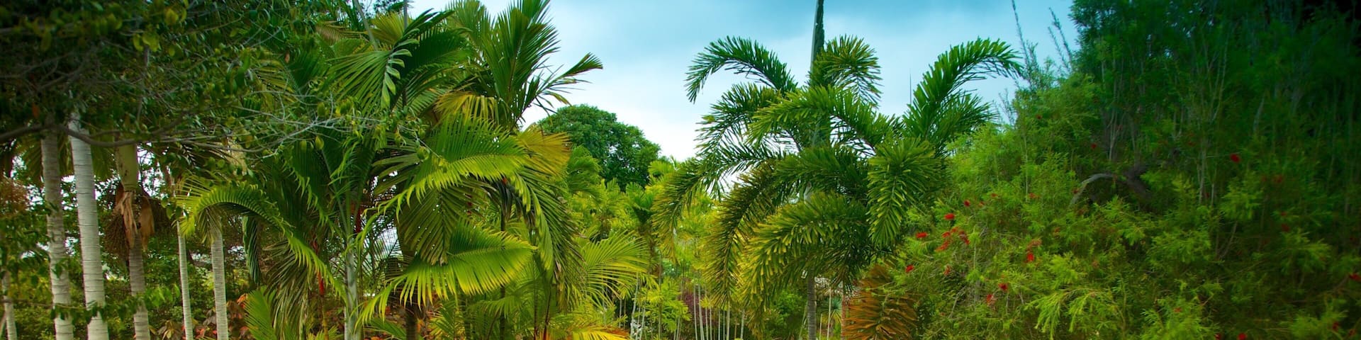 Jardín botánico Sadie Seymour ofreciendo un jardín