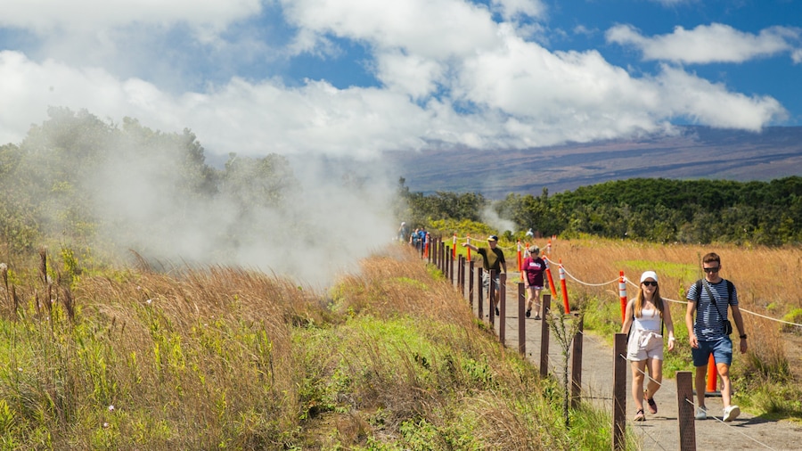 Hawaii Volcanoes National Park which includes tranquil scenes and mist or fog as well as a couple