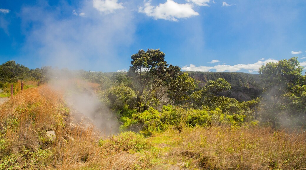 Volcano
