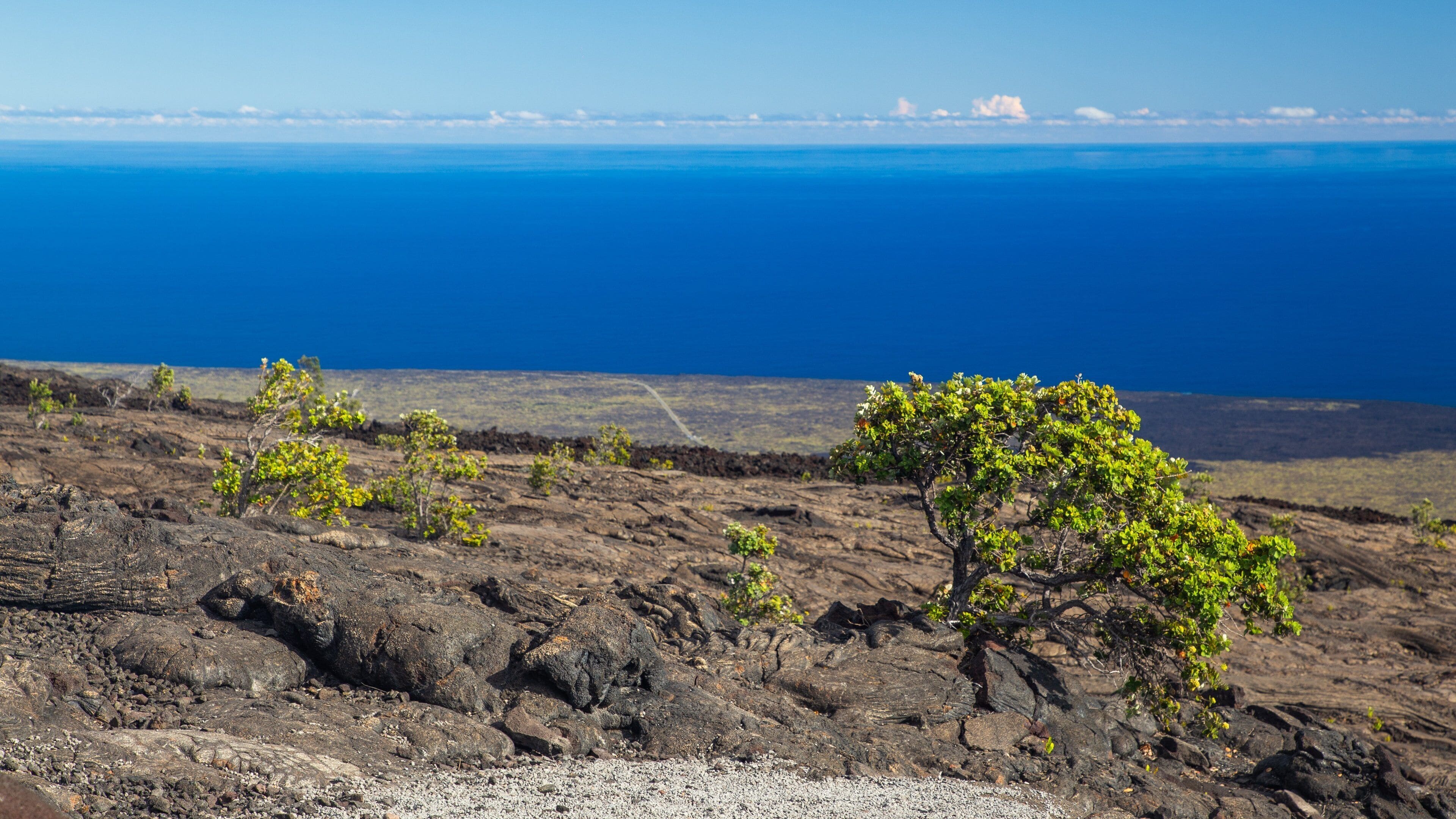 Hawaii Volcanoes National Park featuring general coastal views and tranquil scenes