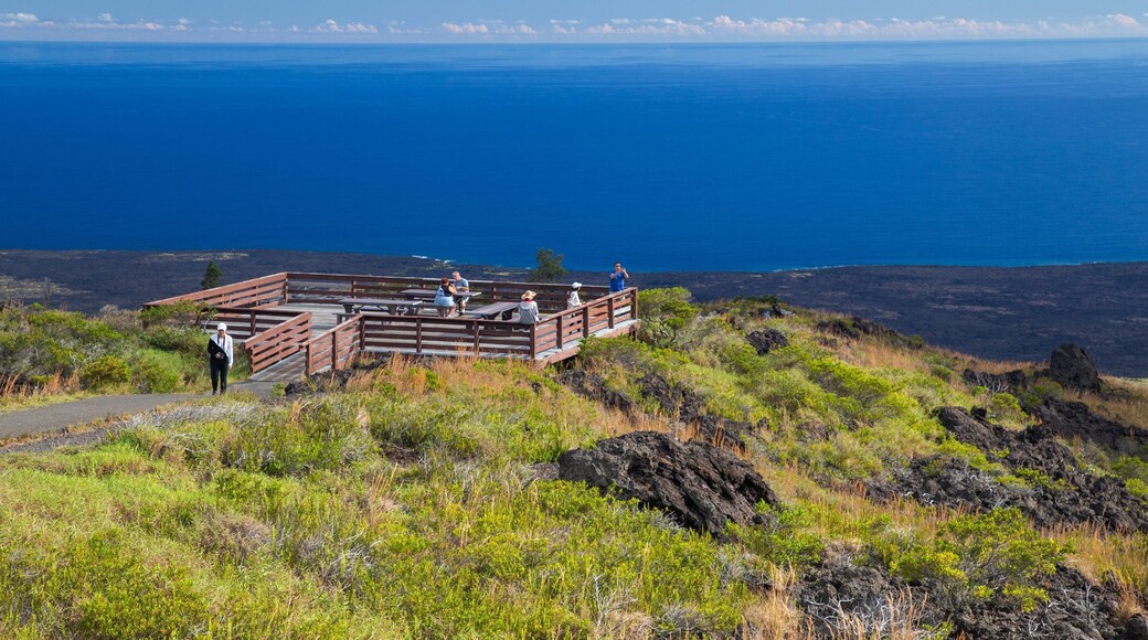 Hawaii Volcanoes National Park showing tranquil scenes, views and general coastal views