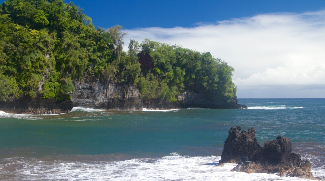 Hawaii Tropical Botanical Garden featuring rocky coastline